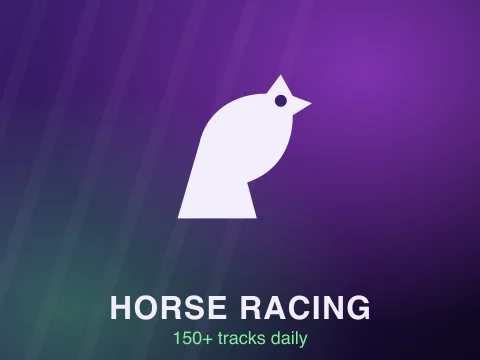 Horse racing wagering at BetAnything
